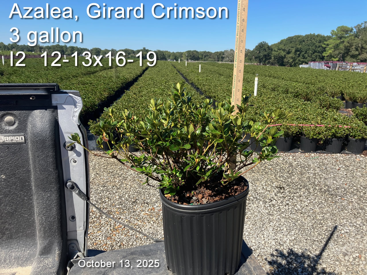 gallery/crim3 i2 oct13.jpg